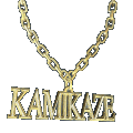 Kamikaze's Photo