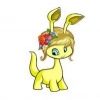 Neopets Puzzle Adventure, is the codes it gives worth it? How do they work? - last post by Hydrange