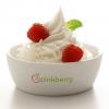 If you died, you'd come back as a..... - last post by Pinkberry