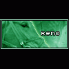 Reno's Photo