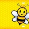 Bee's Photo